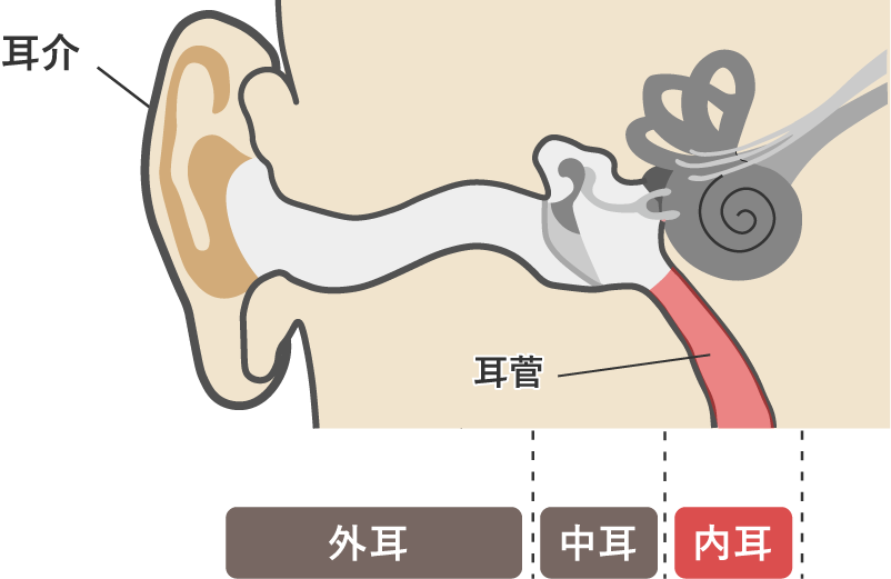 突発性難聴